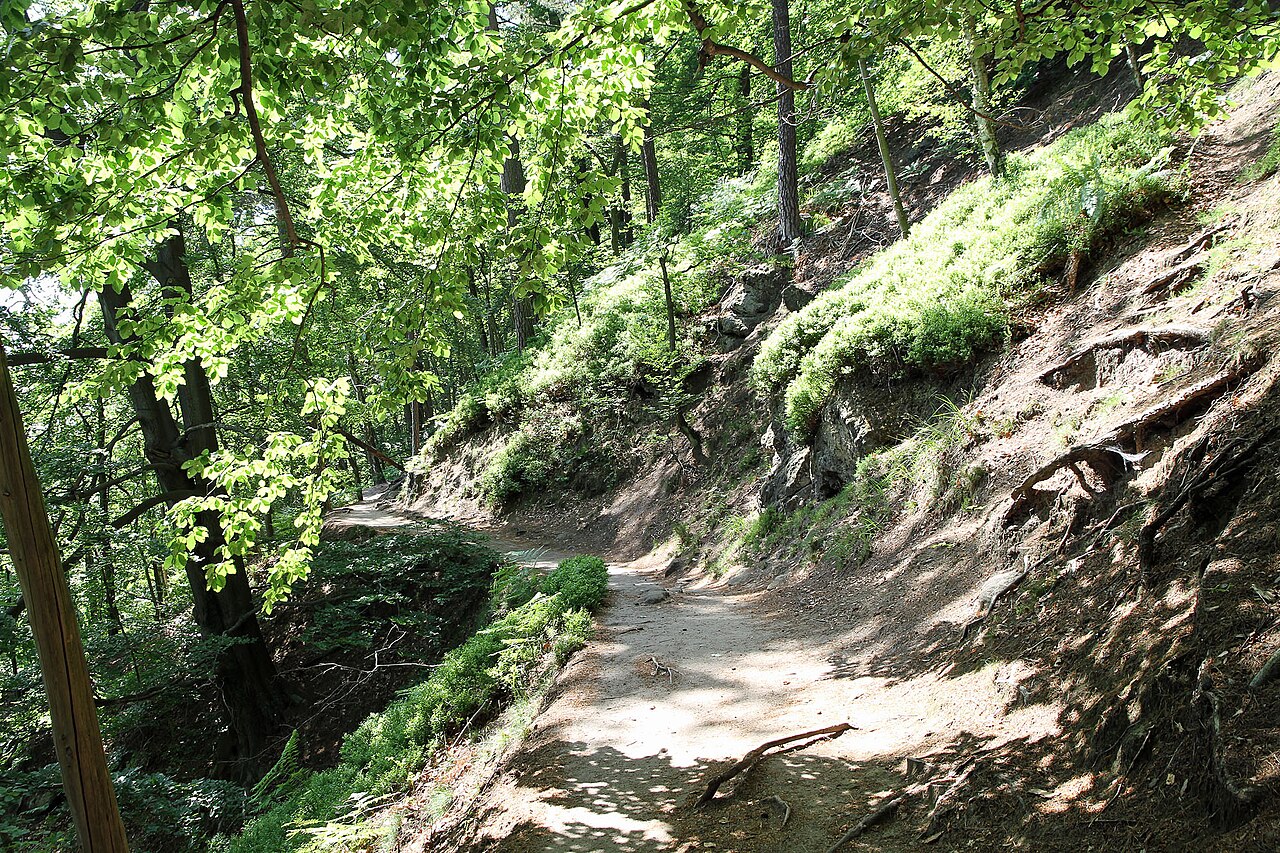 Szlak Gabrieli