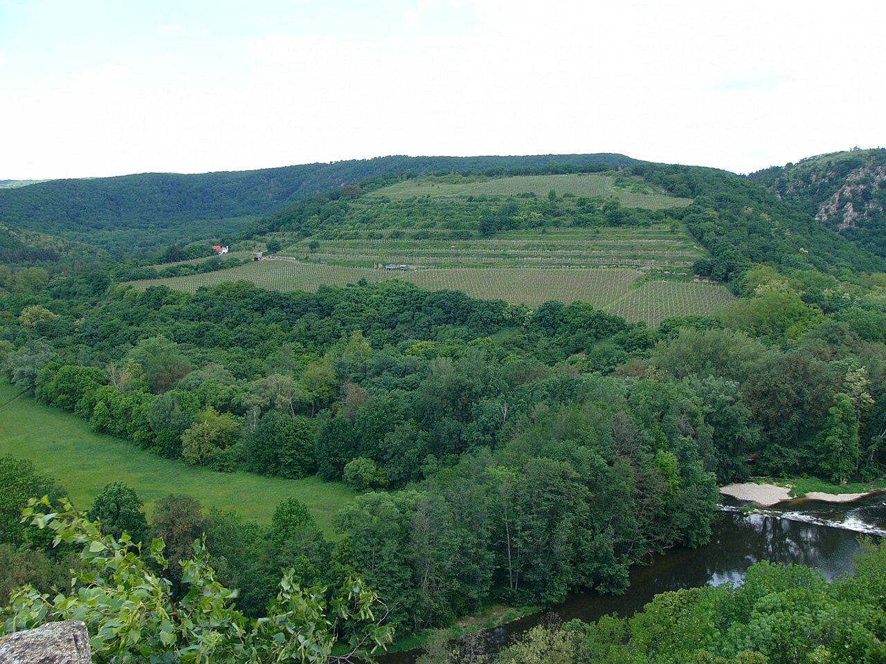 Winnica Šobes w Parku Narodowym Podyjí