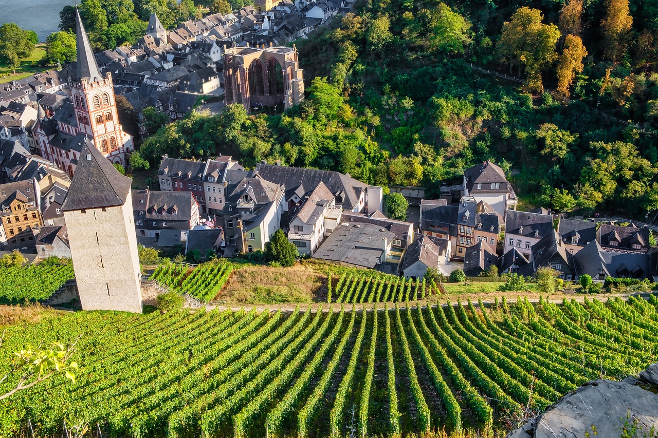 Bacharach