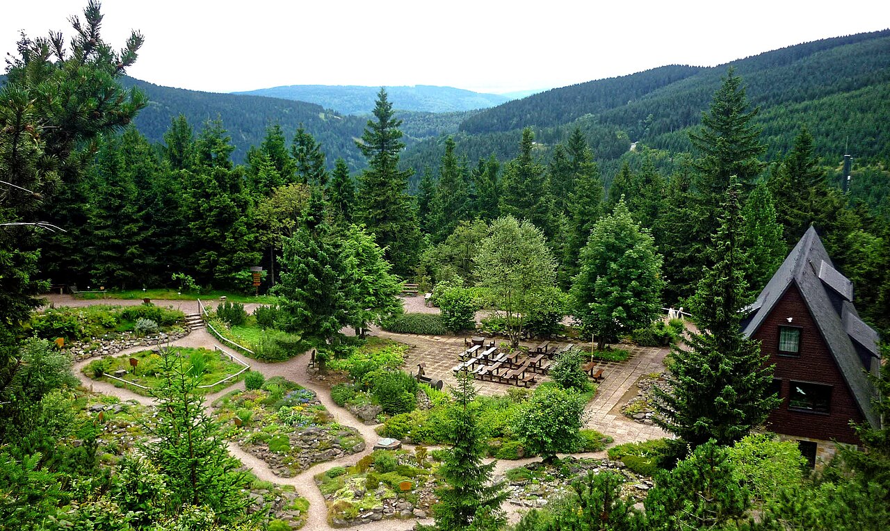 Rennsteiggarten Oberhof