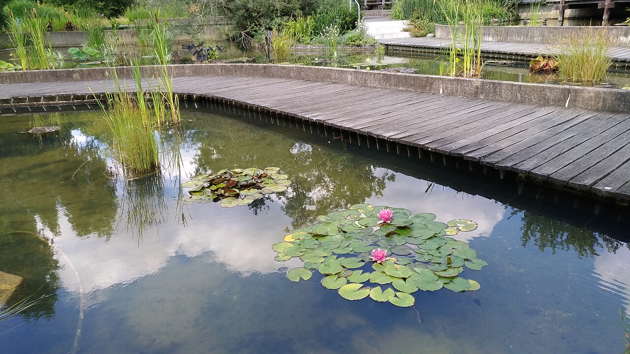 Luisenpark