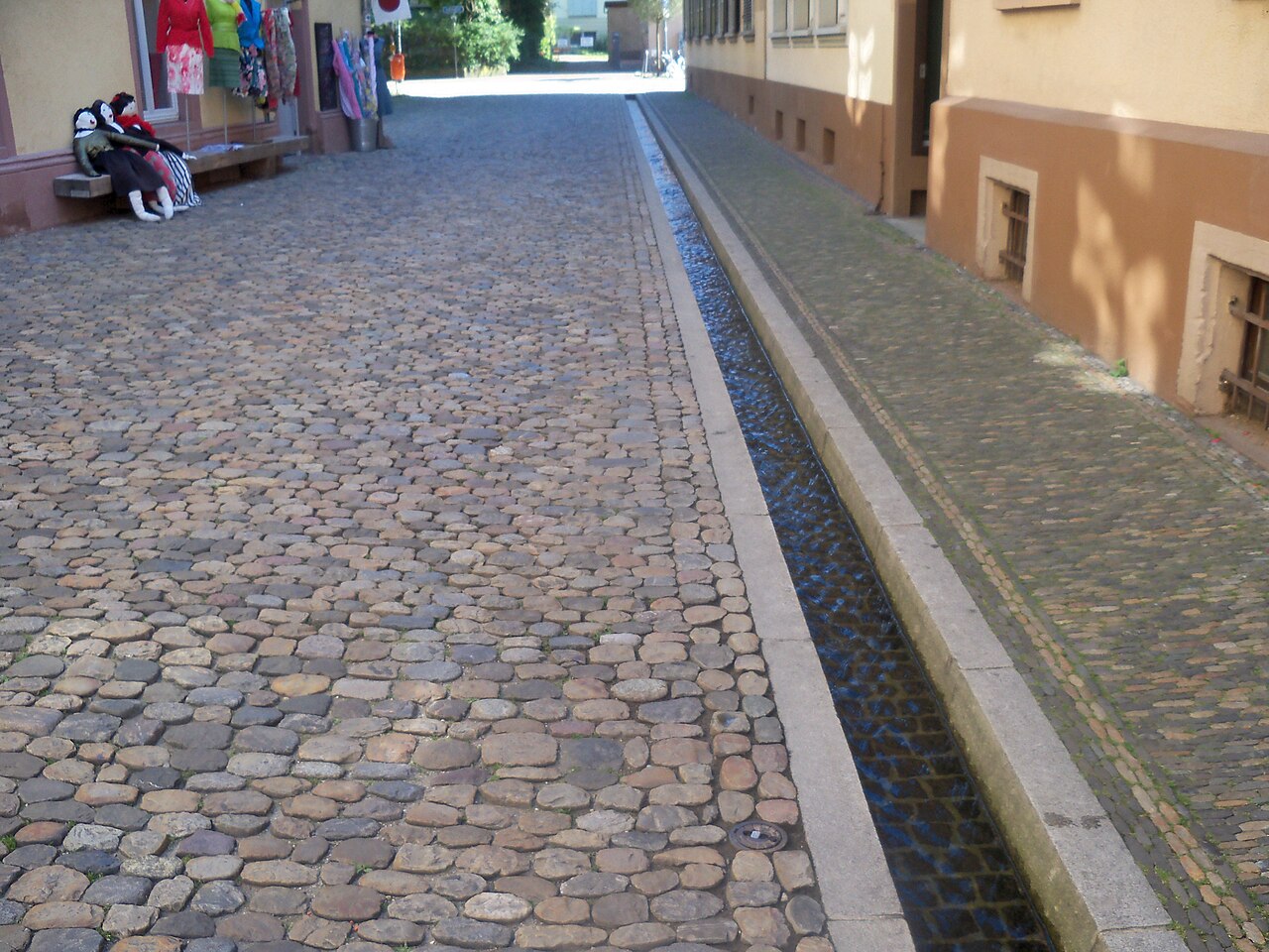 Stare miasto i Bächle