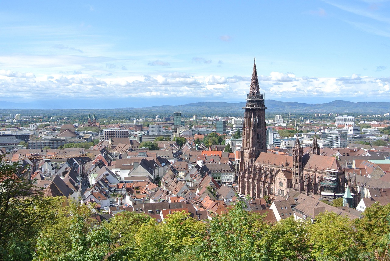 Freiburger Münster i targ