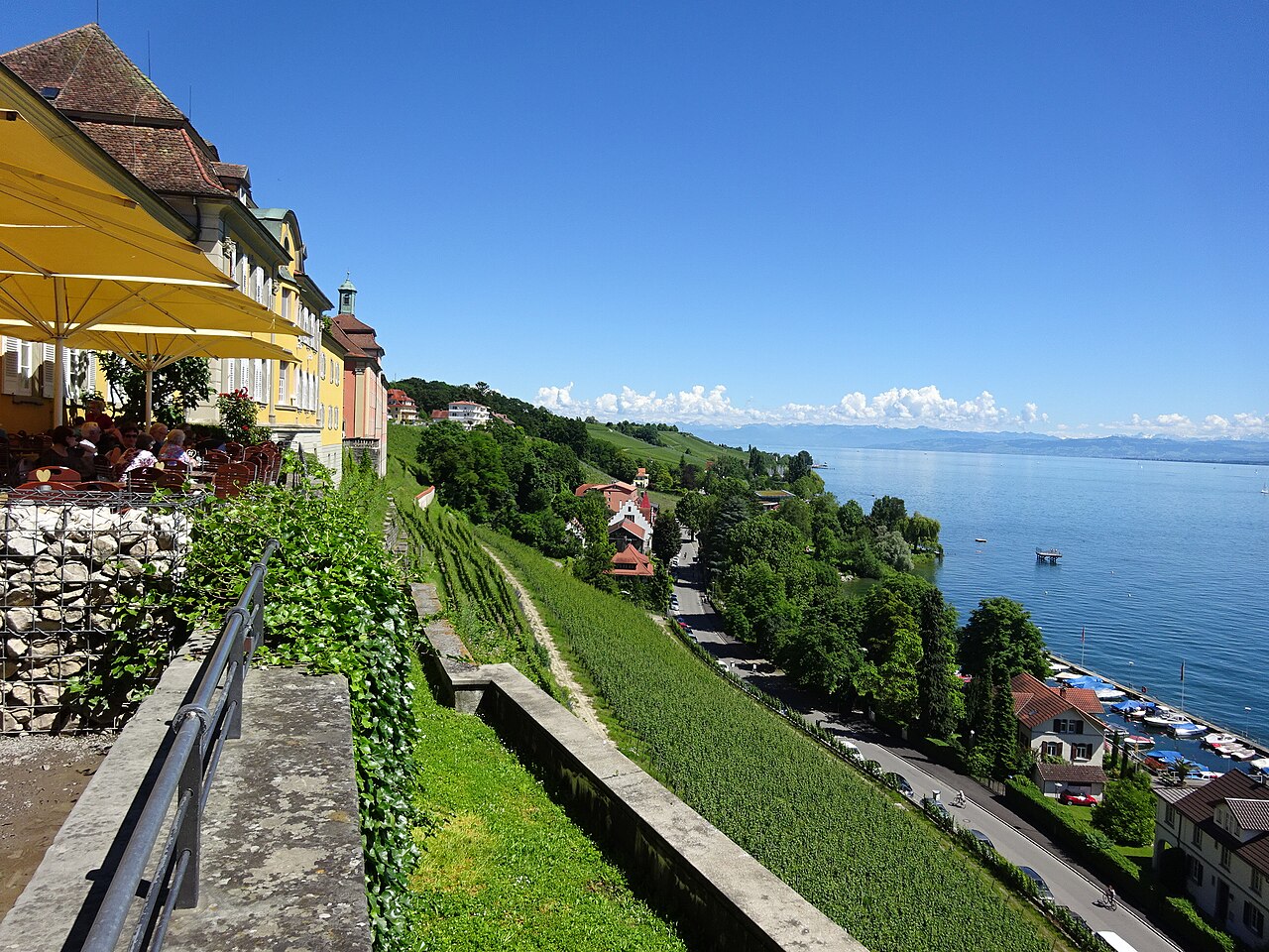 Meersburg i winnice