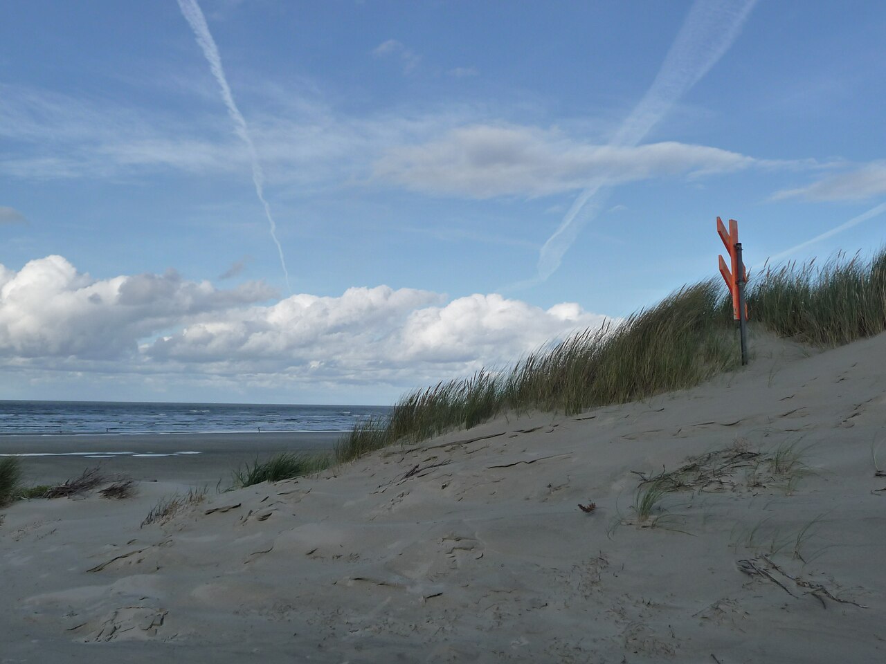 Plaża Juist