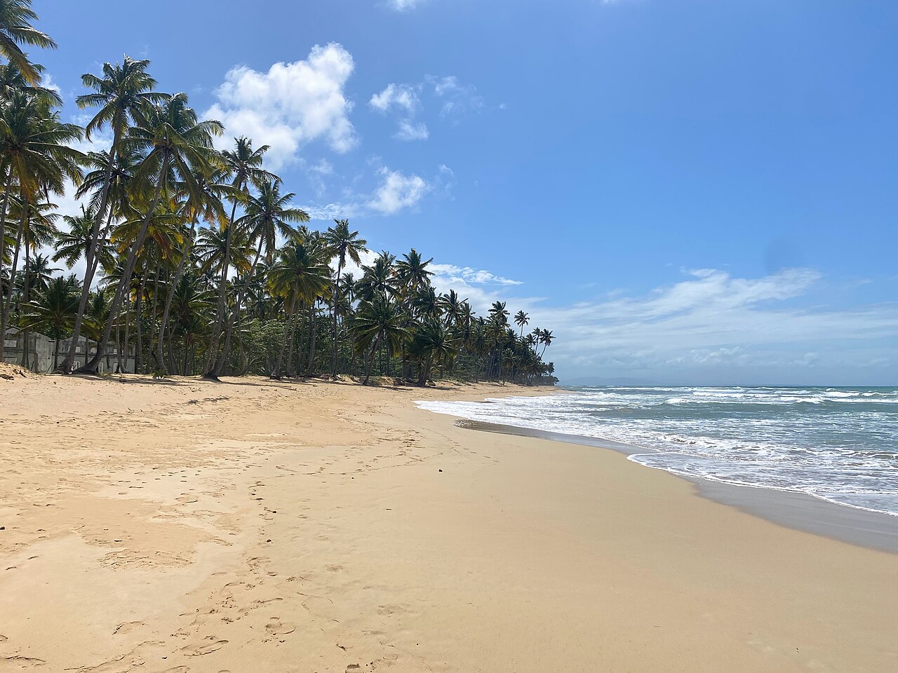 Wycieczka na Playa Cosón