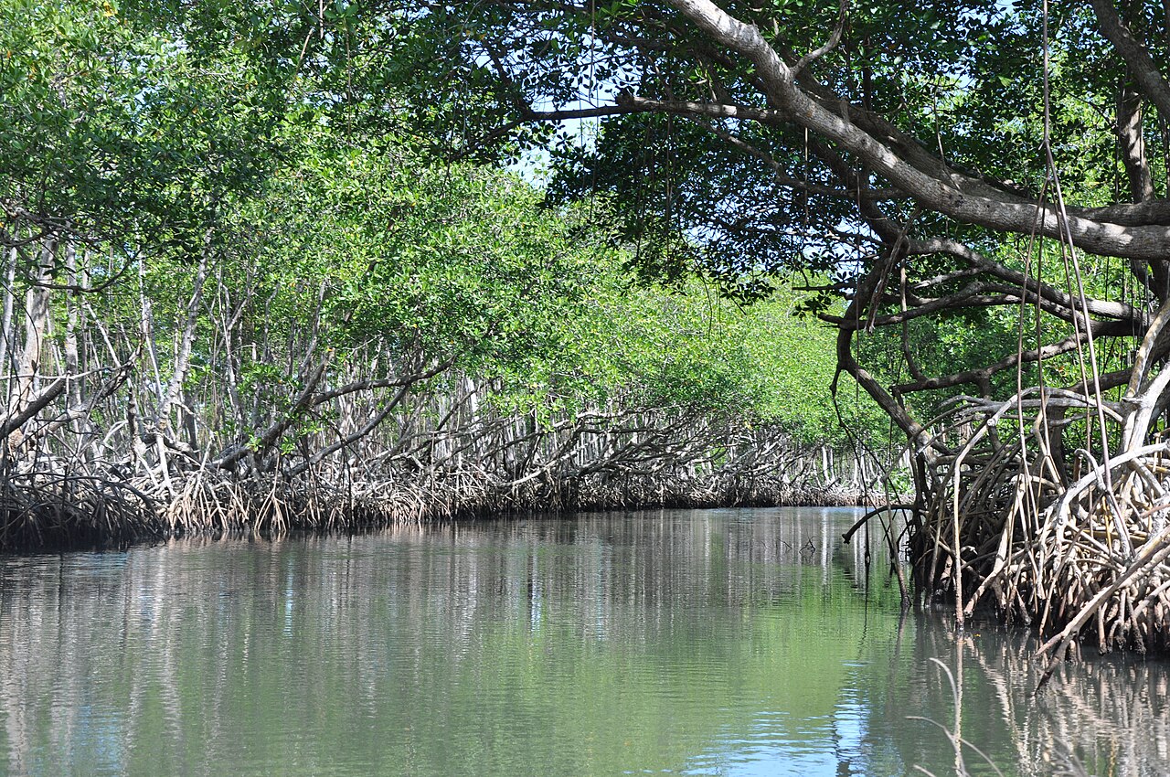 Los Haitises z Samaná
