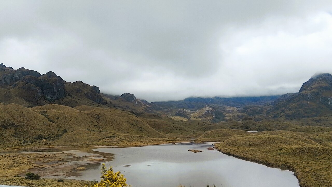 Cajas