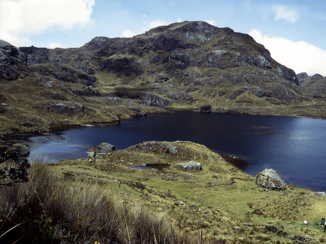 Laguna Toreadora