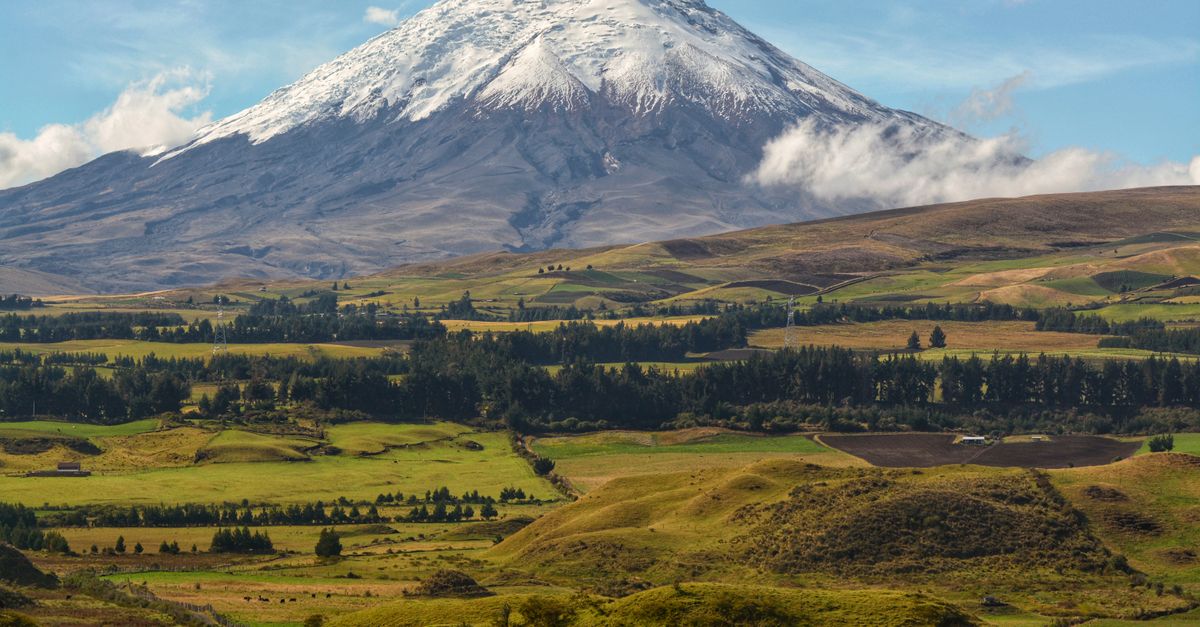 Dzikie konie Cotopaxi