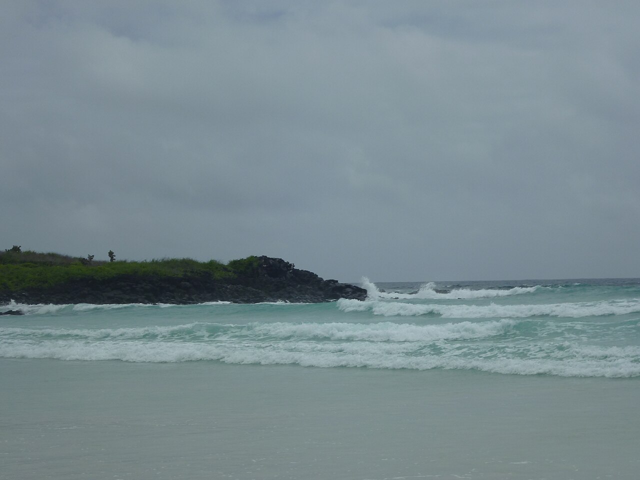 Playa Tortuga Bay