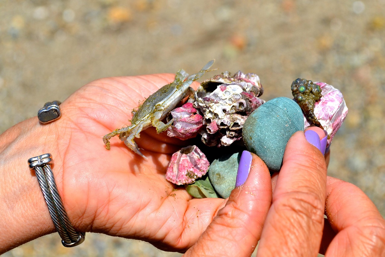 Puerto Lopez jako baza