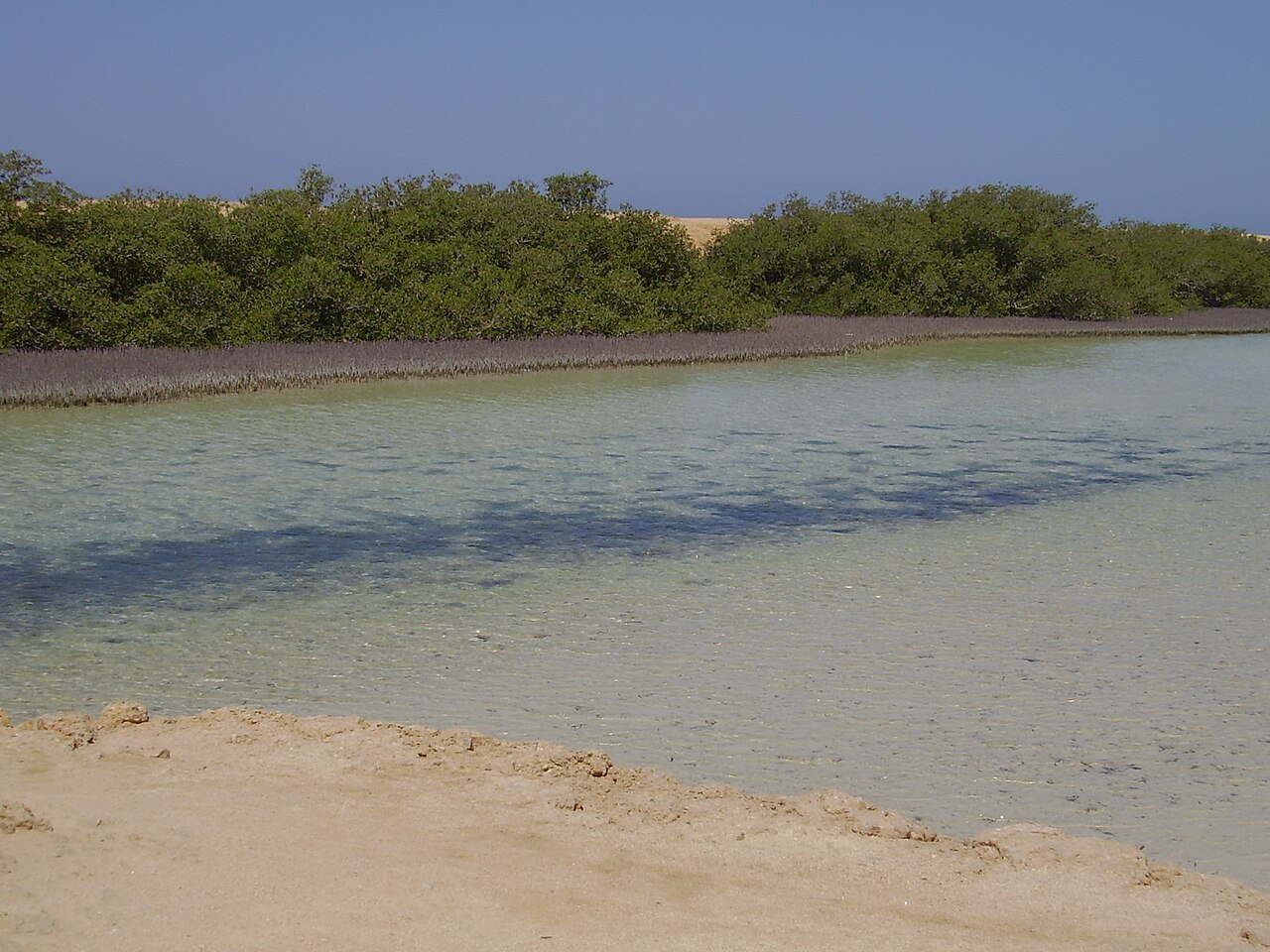Zatoka Marsa Bareika