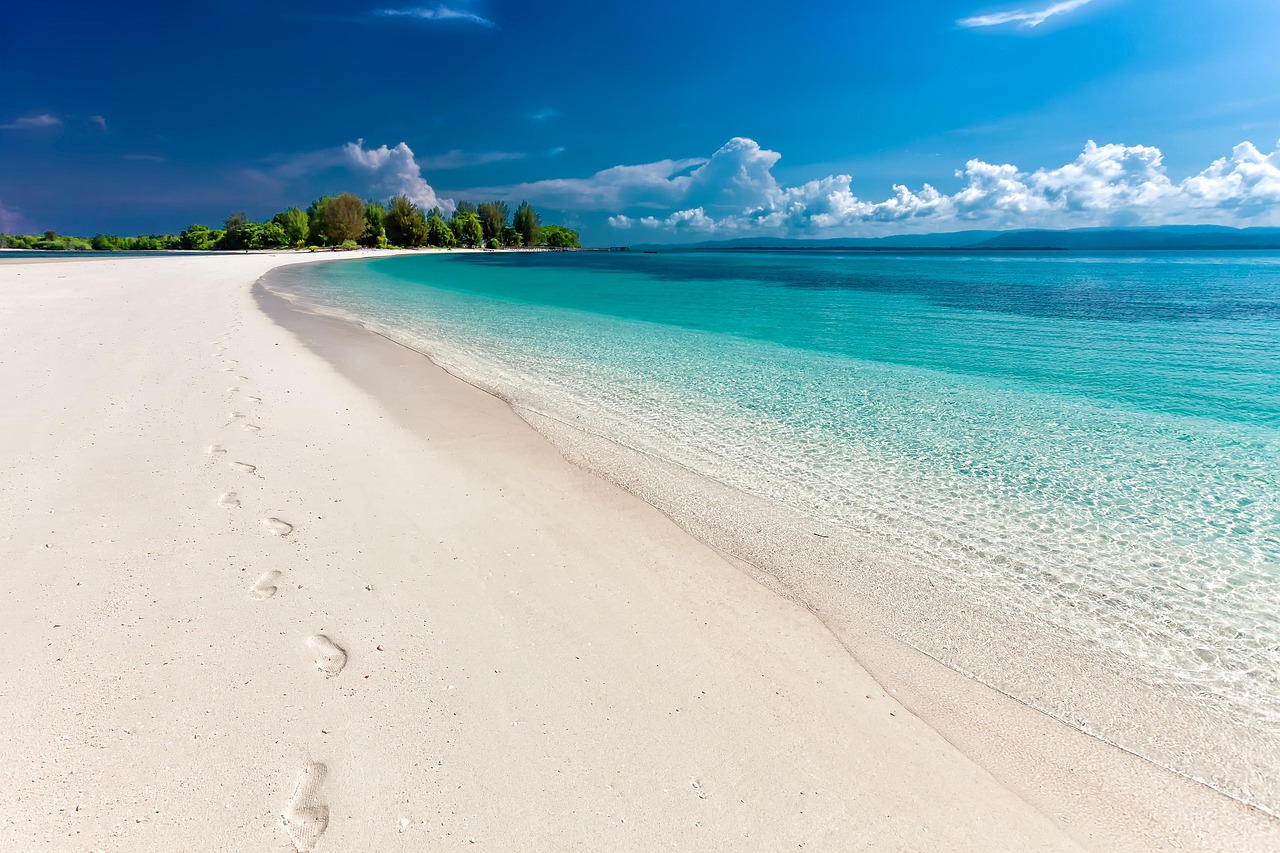 Tarabin Beach i zamek Nuweiba