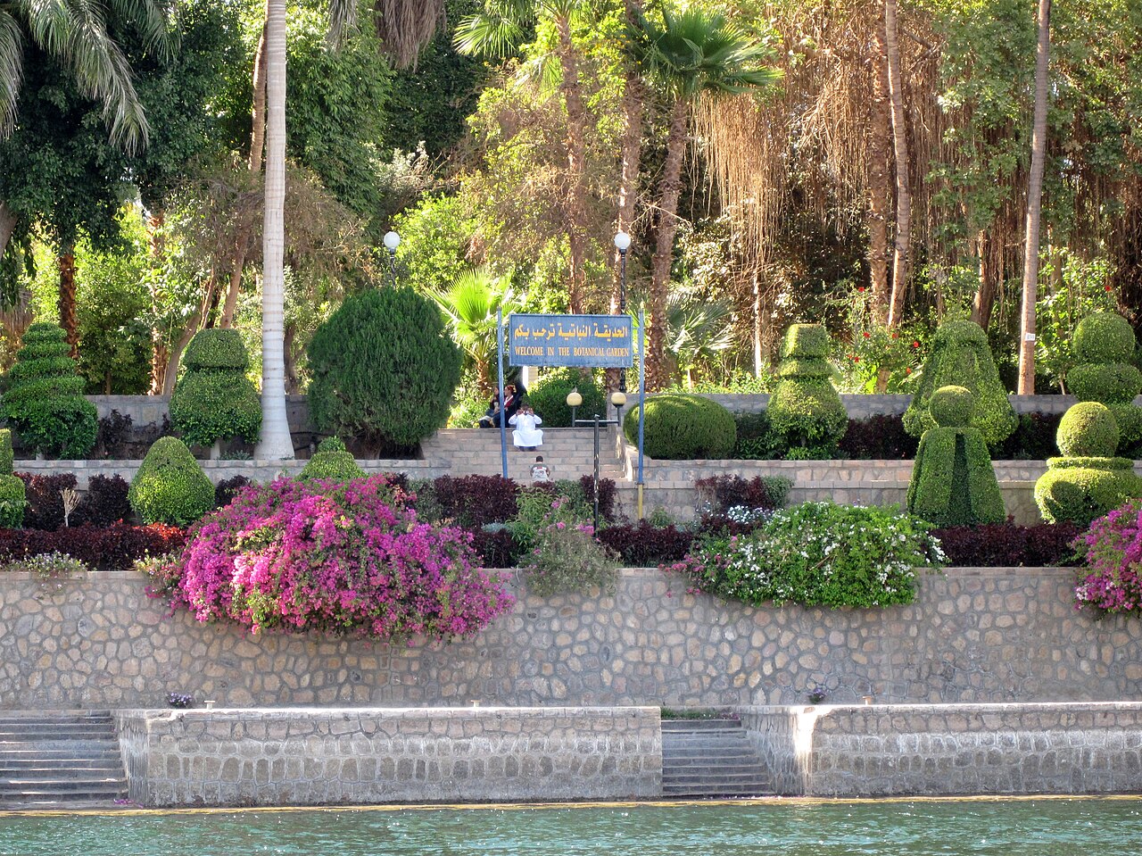 Wyspa Botaniczna Kitchener