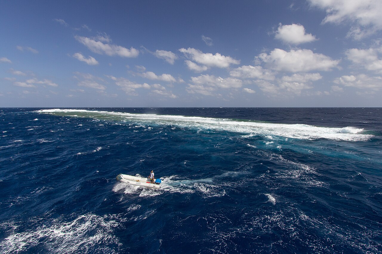 Nurkowanie Elphinstone Reef