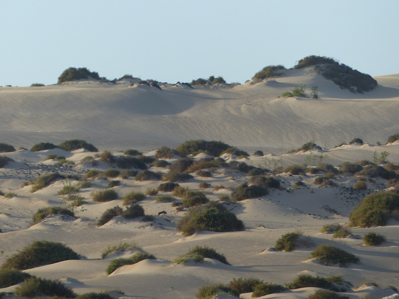 Dunas de Corralejo
