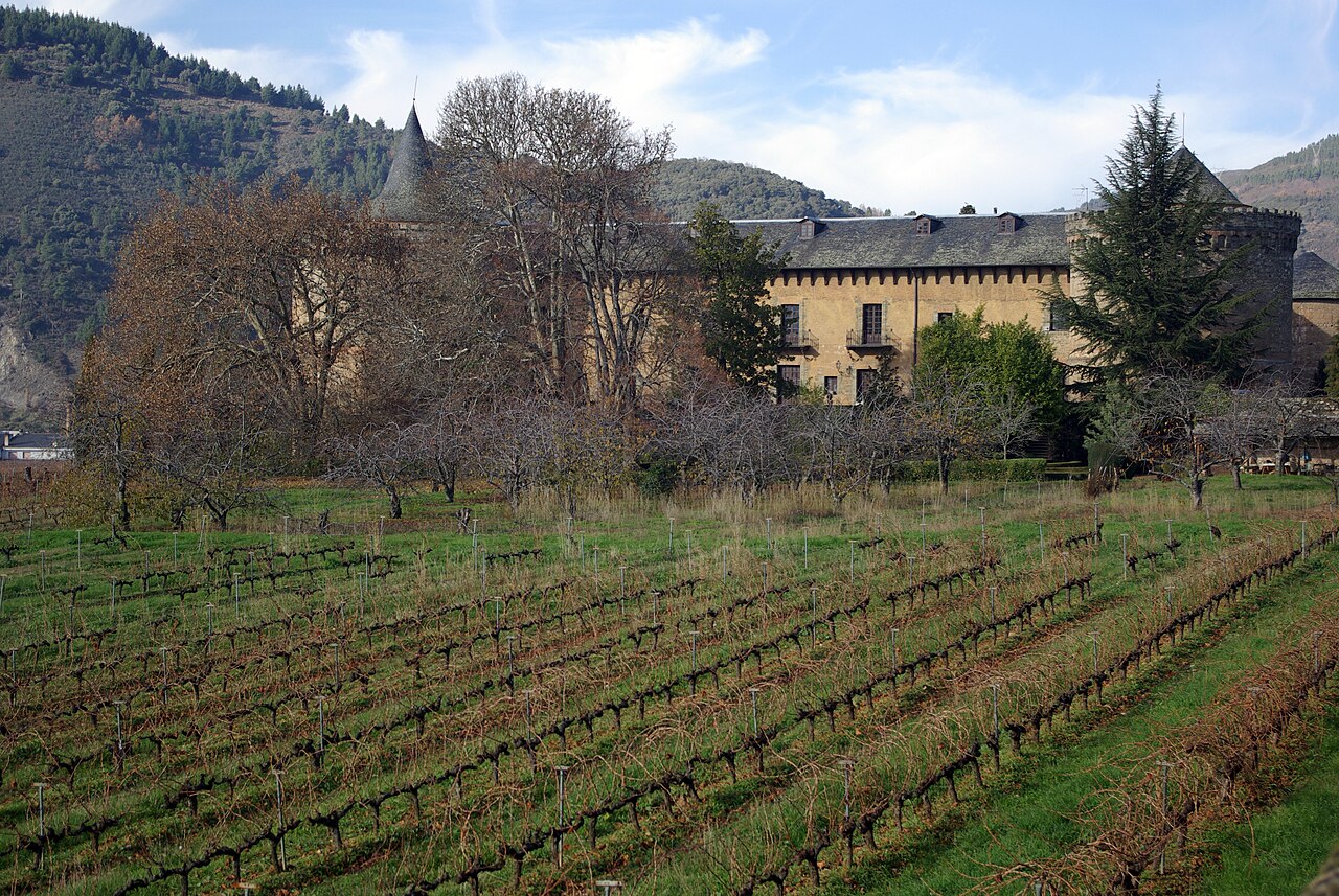 Bierzo i wino Mencía