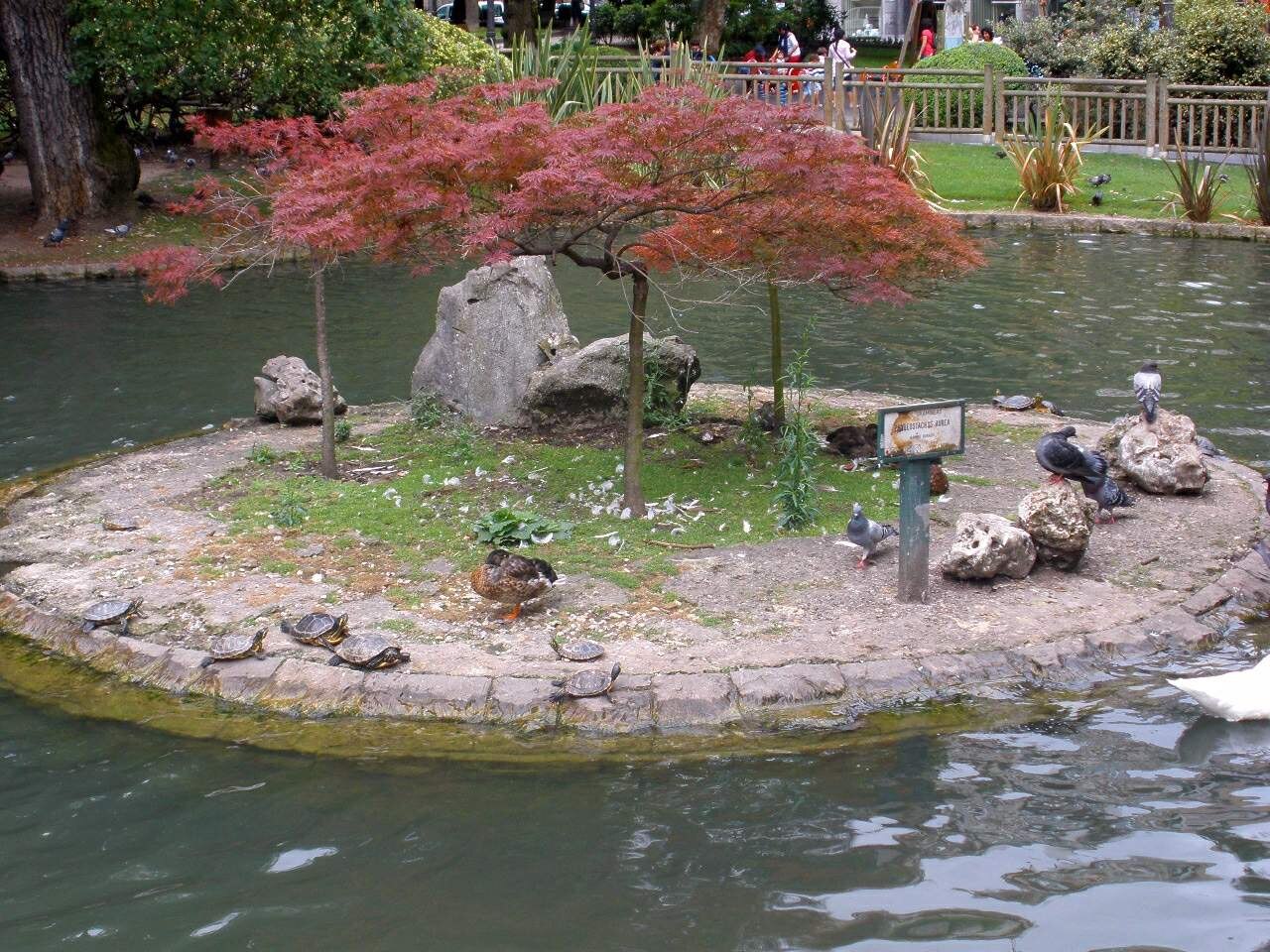 Campo de San Francisco