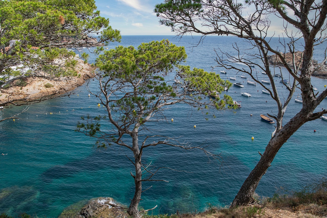 Camí de Ronda między zatokami Begur