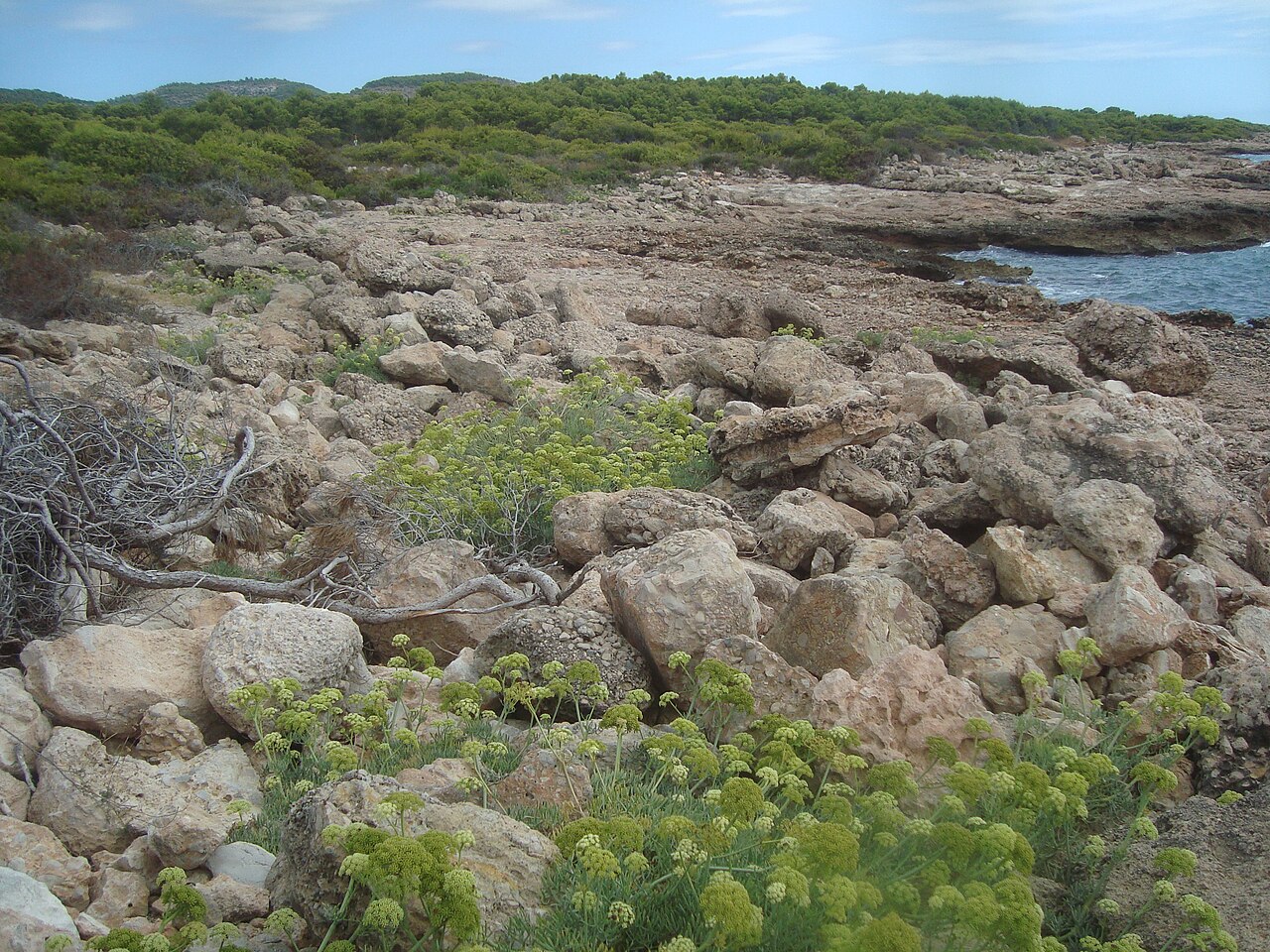 Parc Natural de la Serra d'Irta