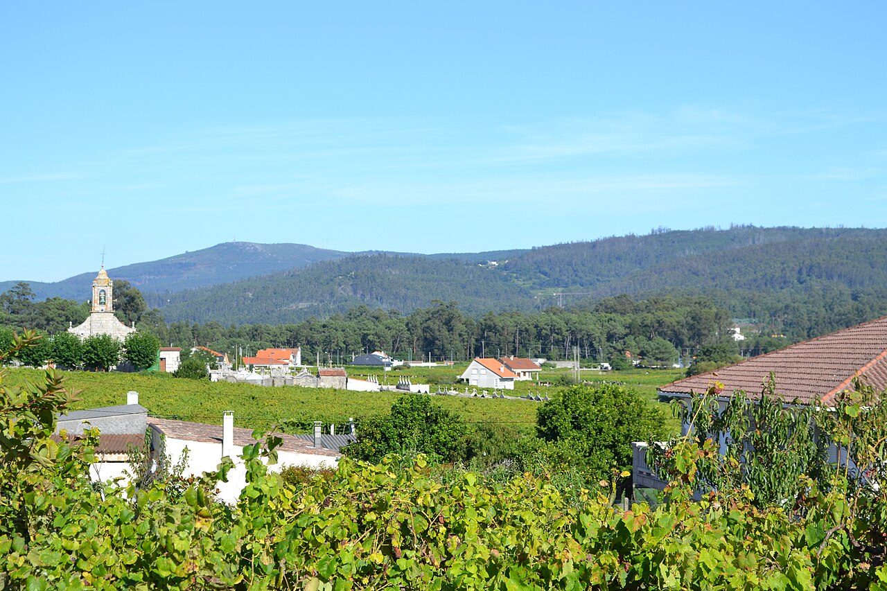 Cambados i szlak albariño