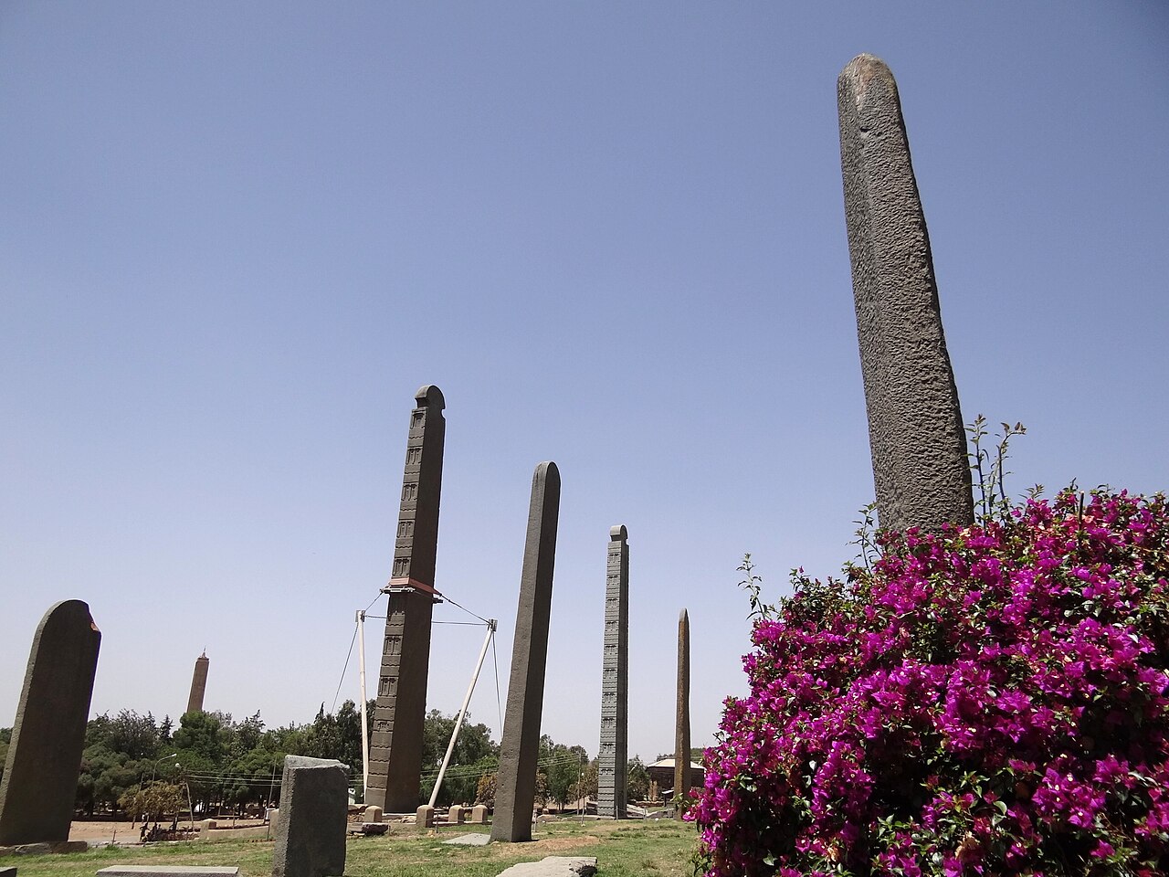 Pole stel w Aksum