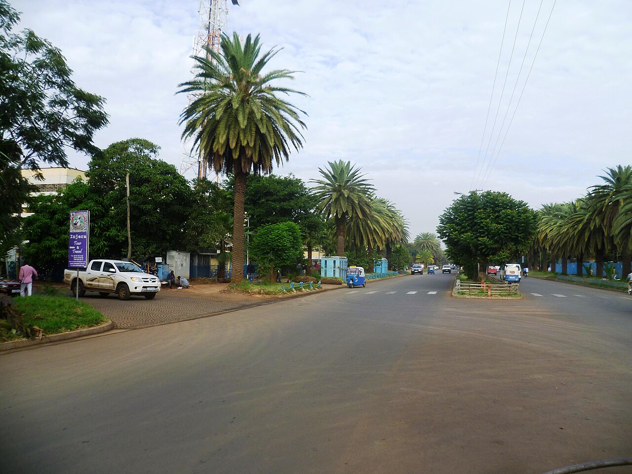 Bulwar palmowy nad jeziorem