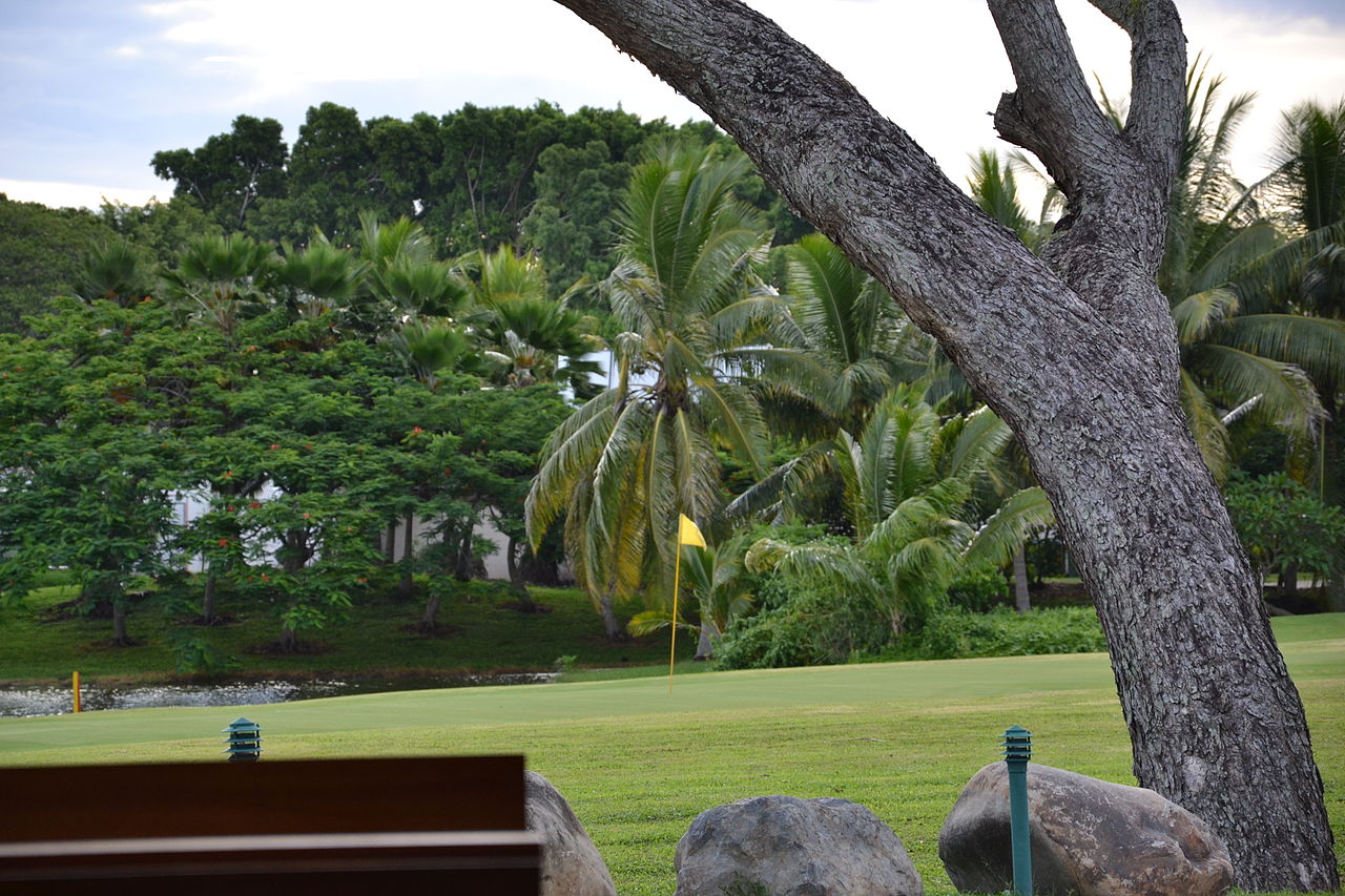 Pole golfowe Denarau