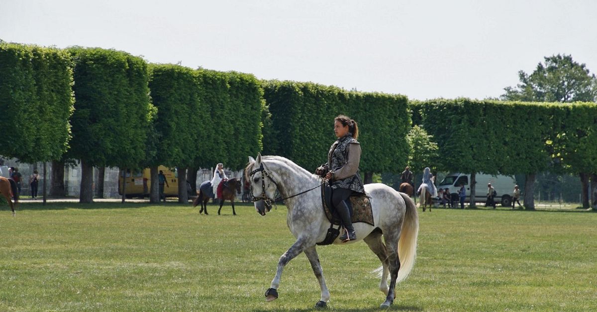 Écuries du Maréchal de Saxe