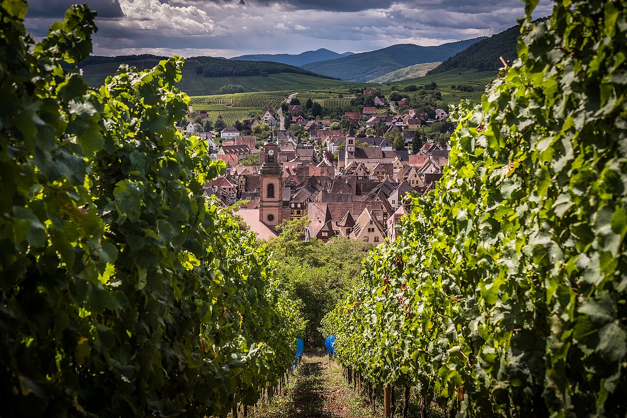 Winnice Schoenenbourg