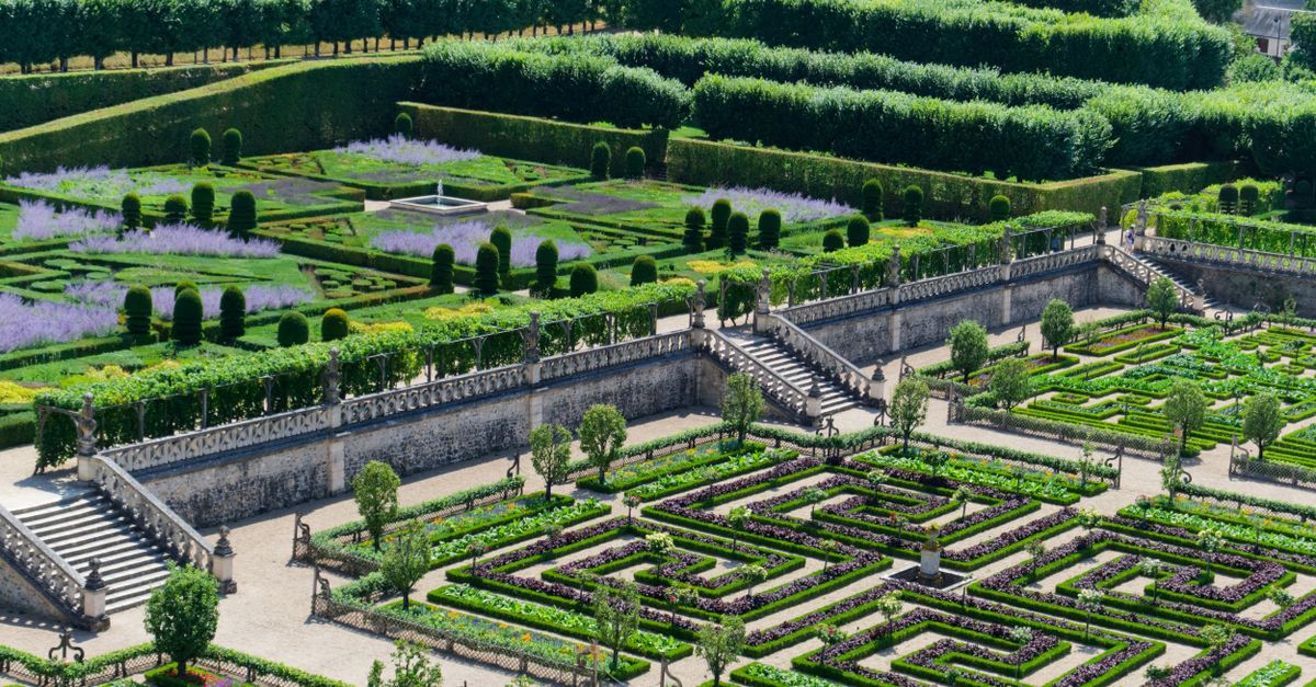 Potager ornemental