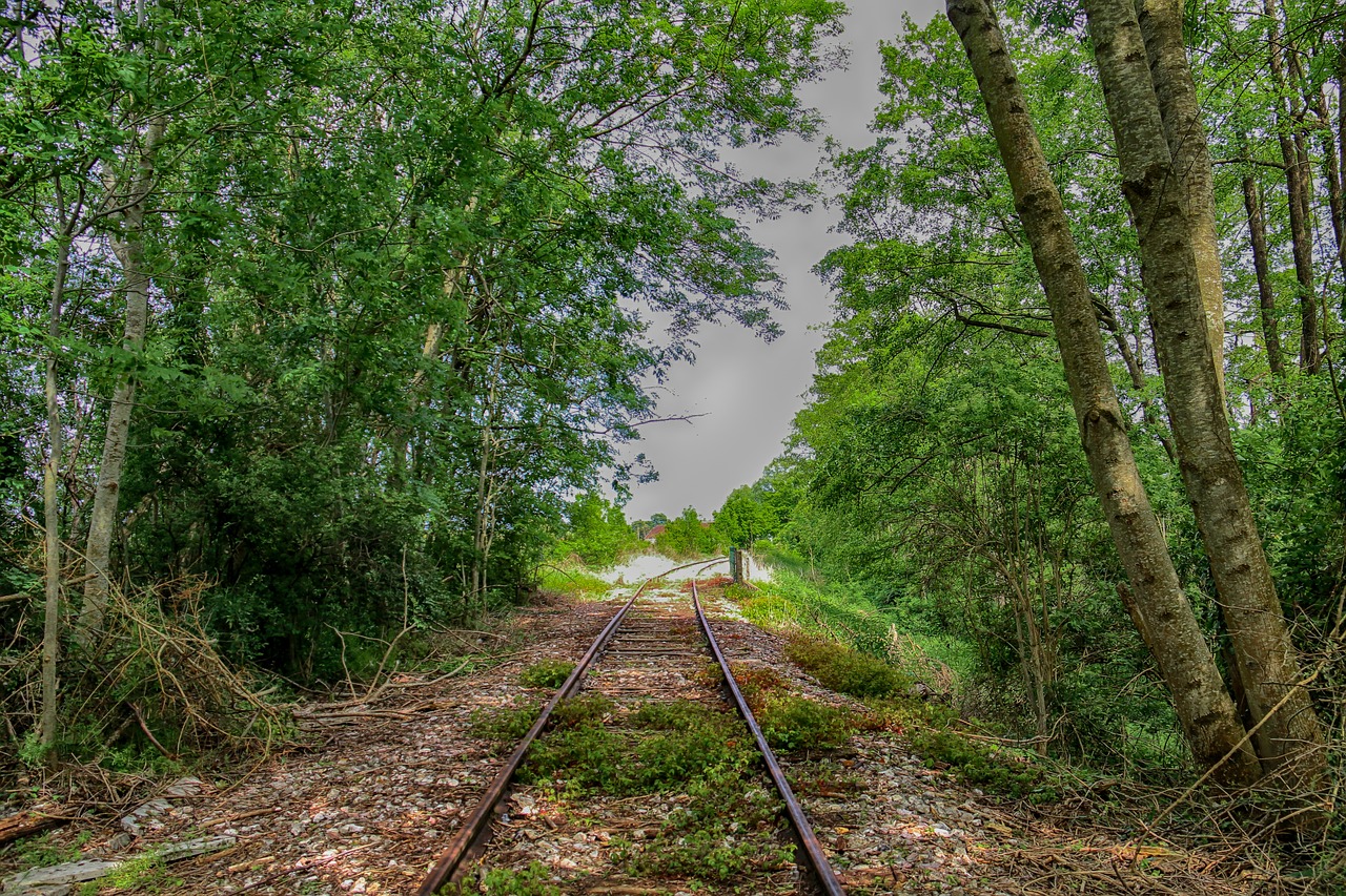 Chemin de Fer de la Baie de Somme