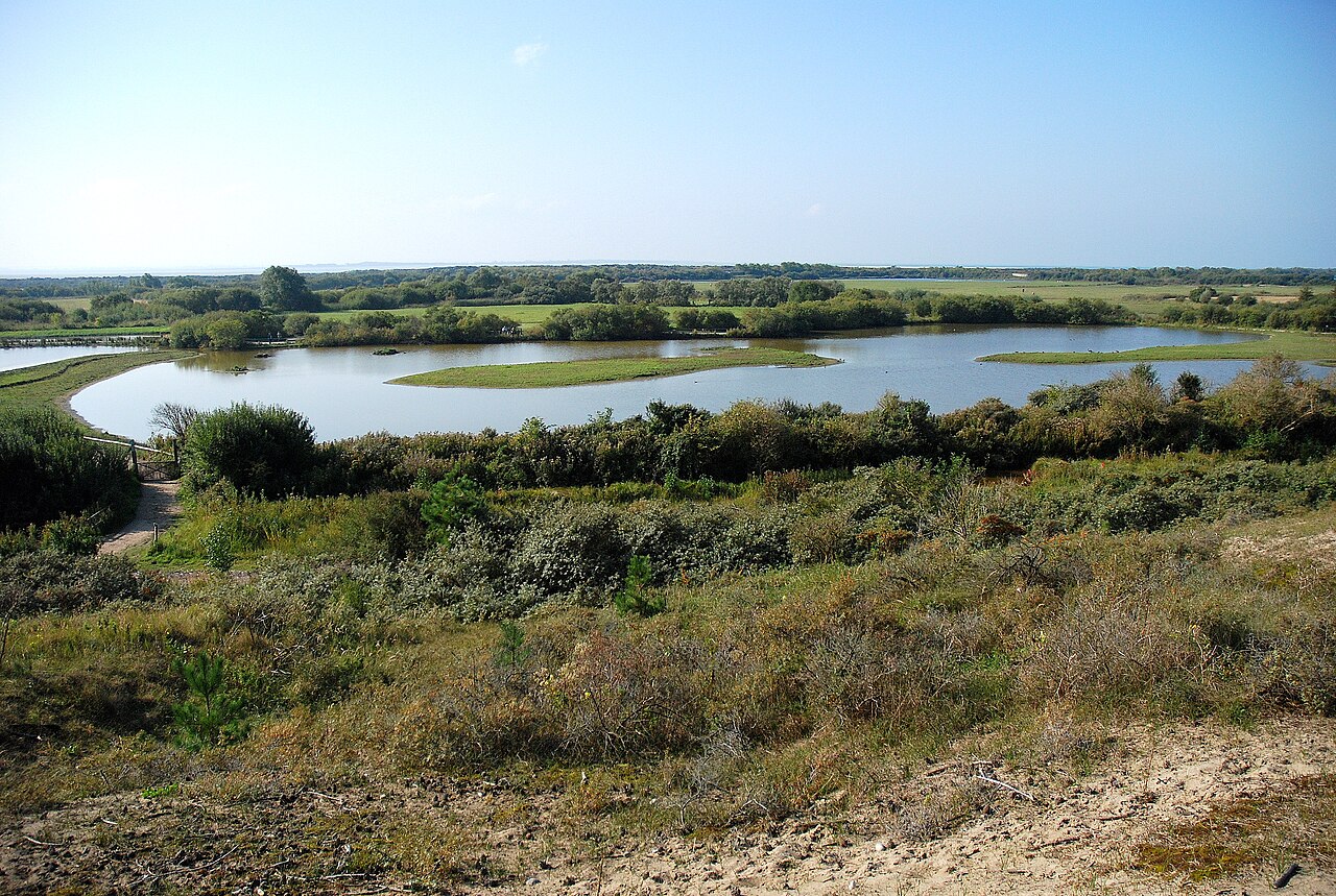 Parc du Marquenterre