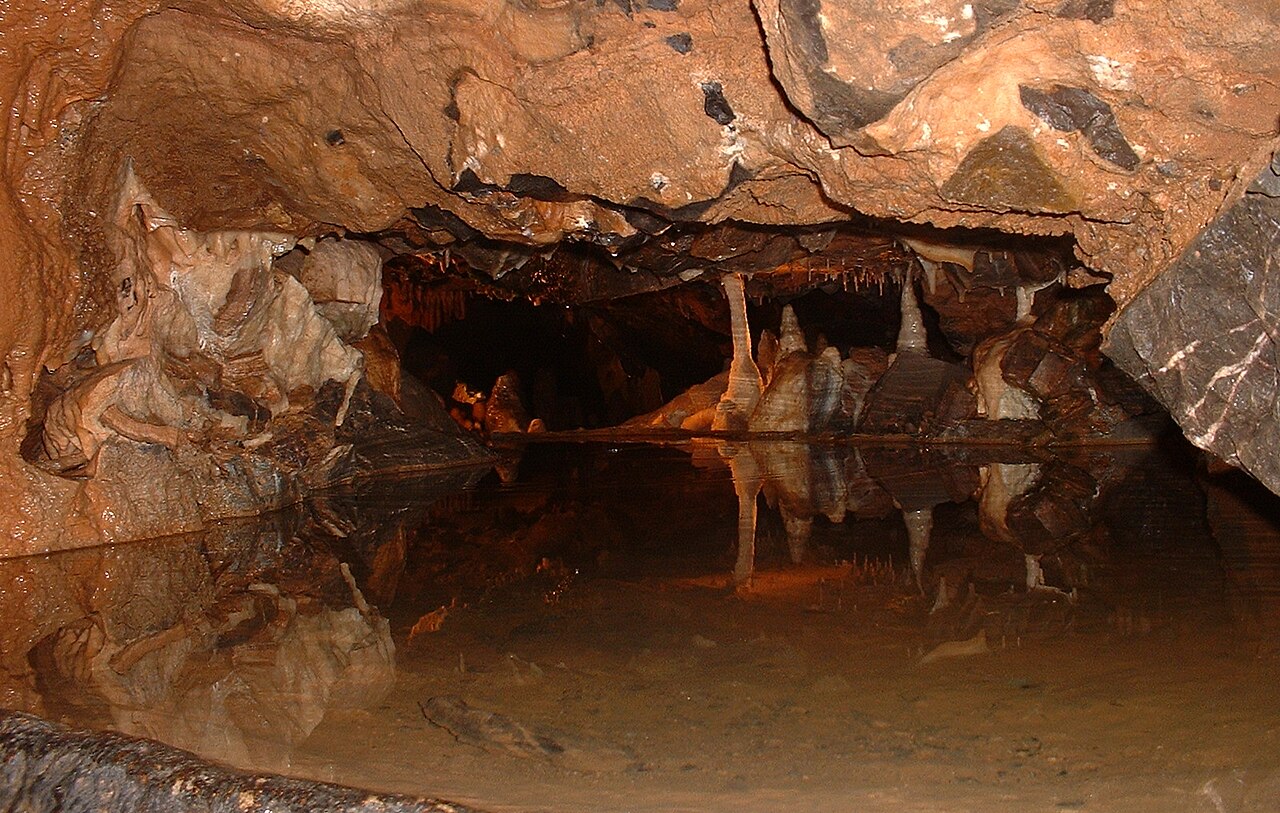 Gough's Cave i Museum of Prehistory