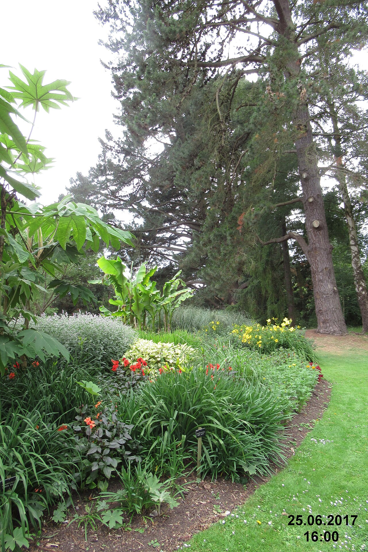 The Savill Garden