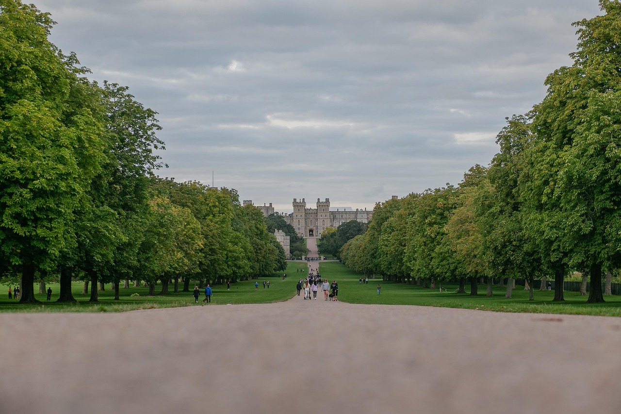 The Long Walk i Deer Park