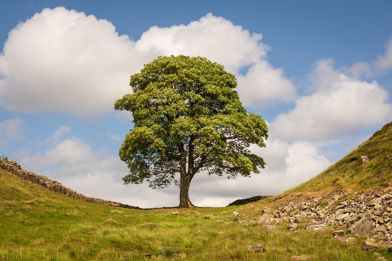 Northumberland National Park