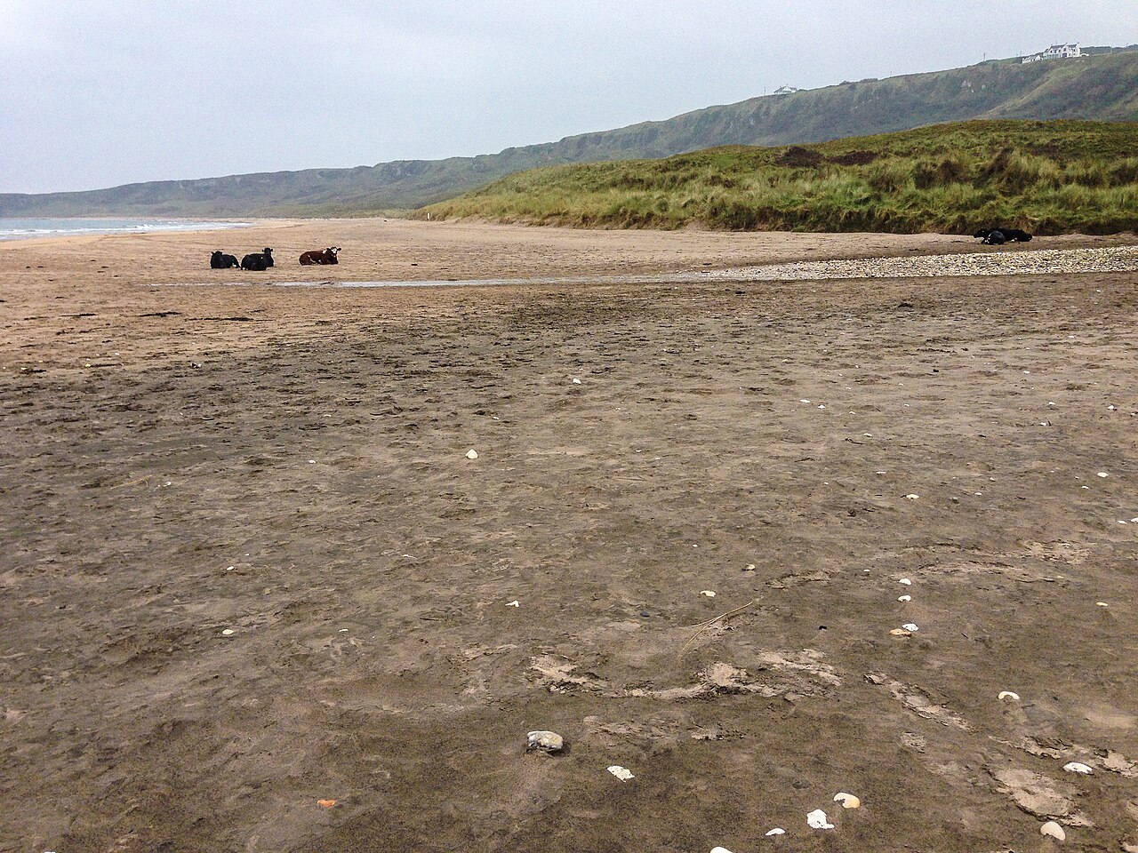 Zatoka Whitepark Bay