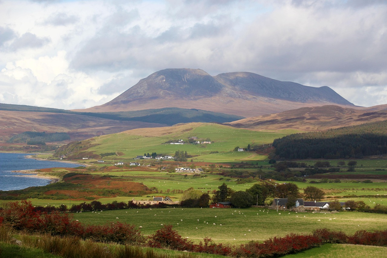 Destylarnia Arran