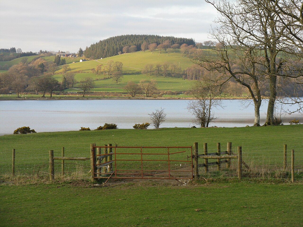 Jezioro Llyn Tegid