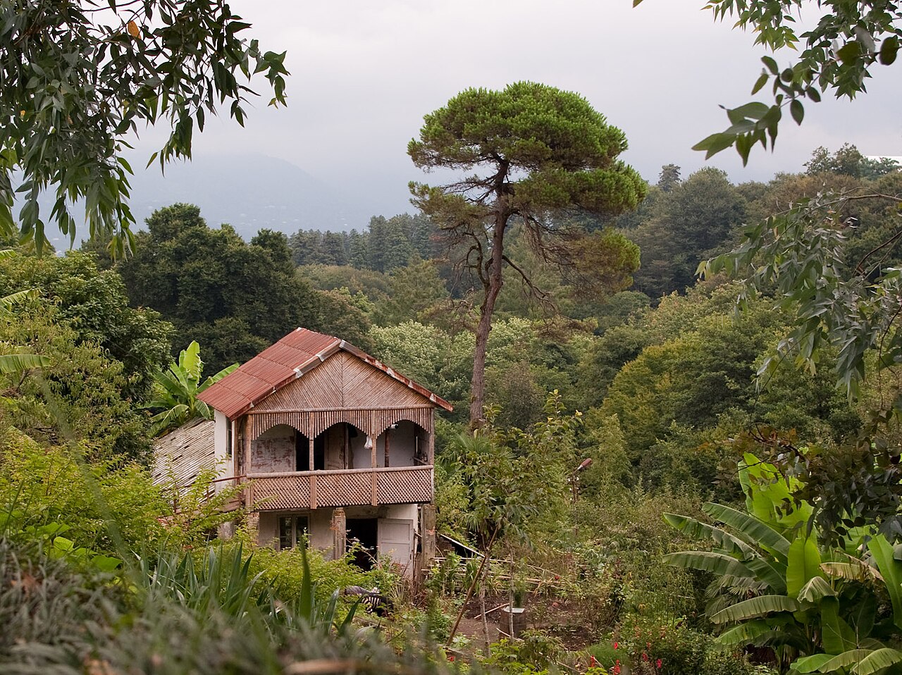 Botaniczny ogród Batumi