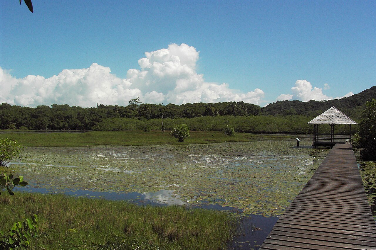 Kładka w Salines de Montjoly