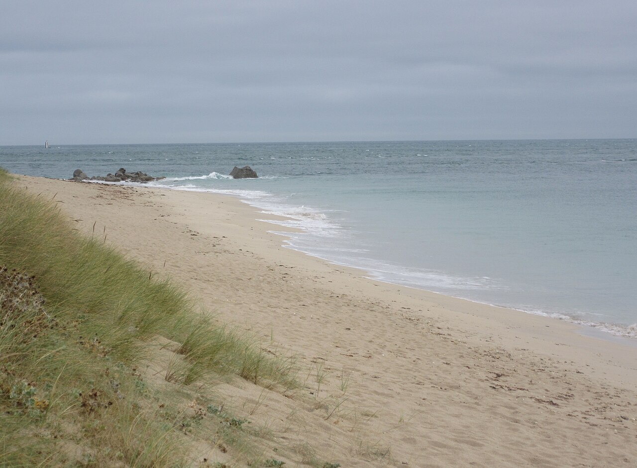Shell Beach