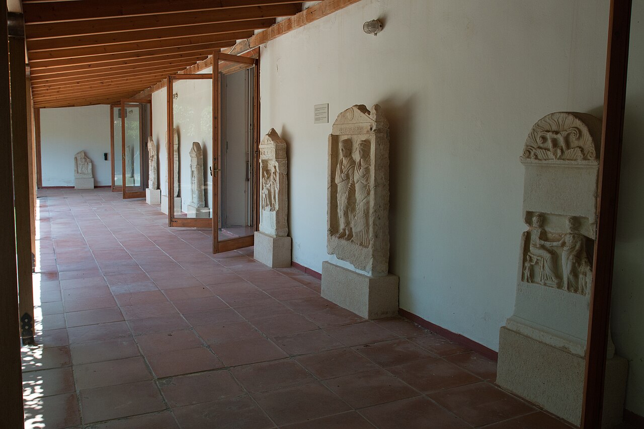 Kolona i Muzeum Archeologiczne