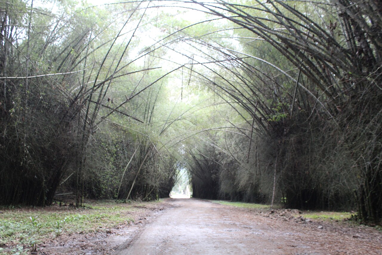 Jardín Botánico Lancetilla