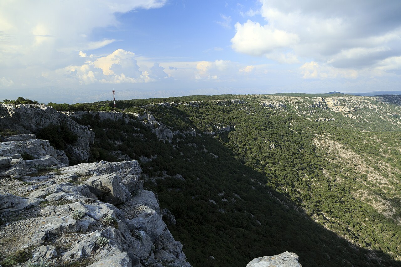 Vidova Gora