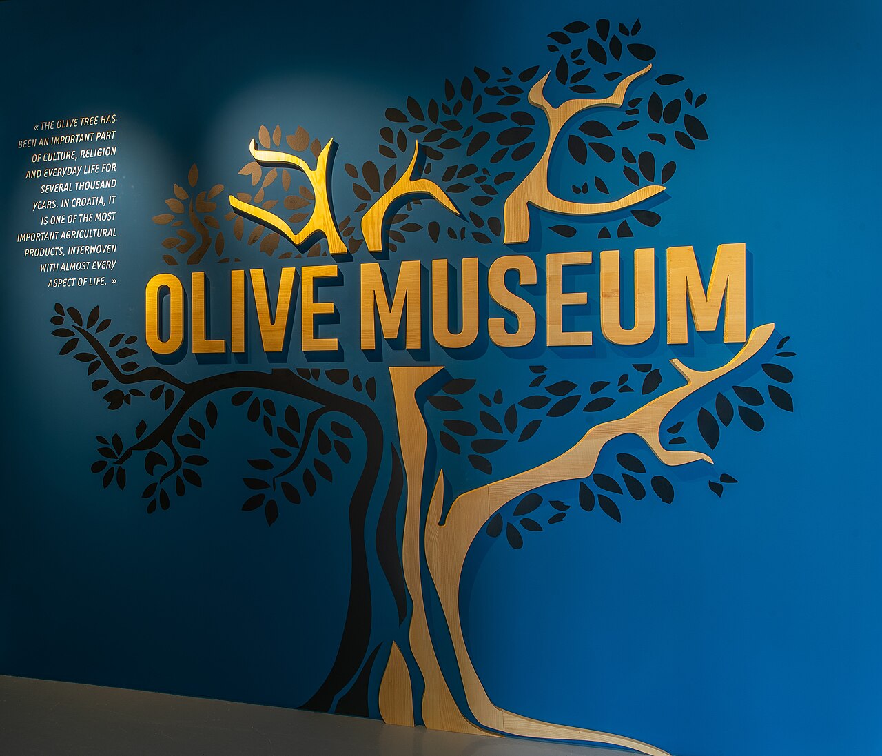 Stella Croatica i Muzeum Oliwy