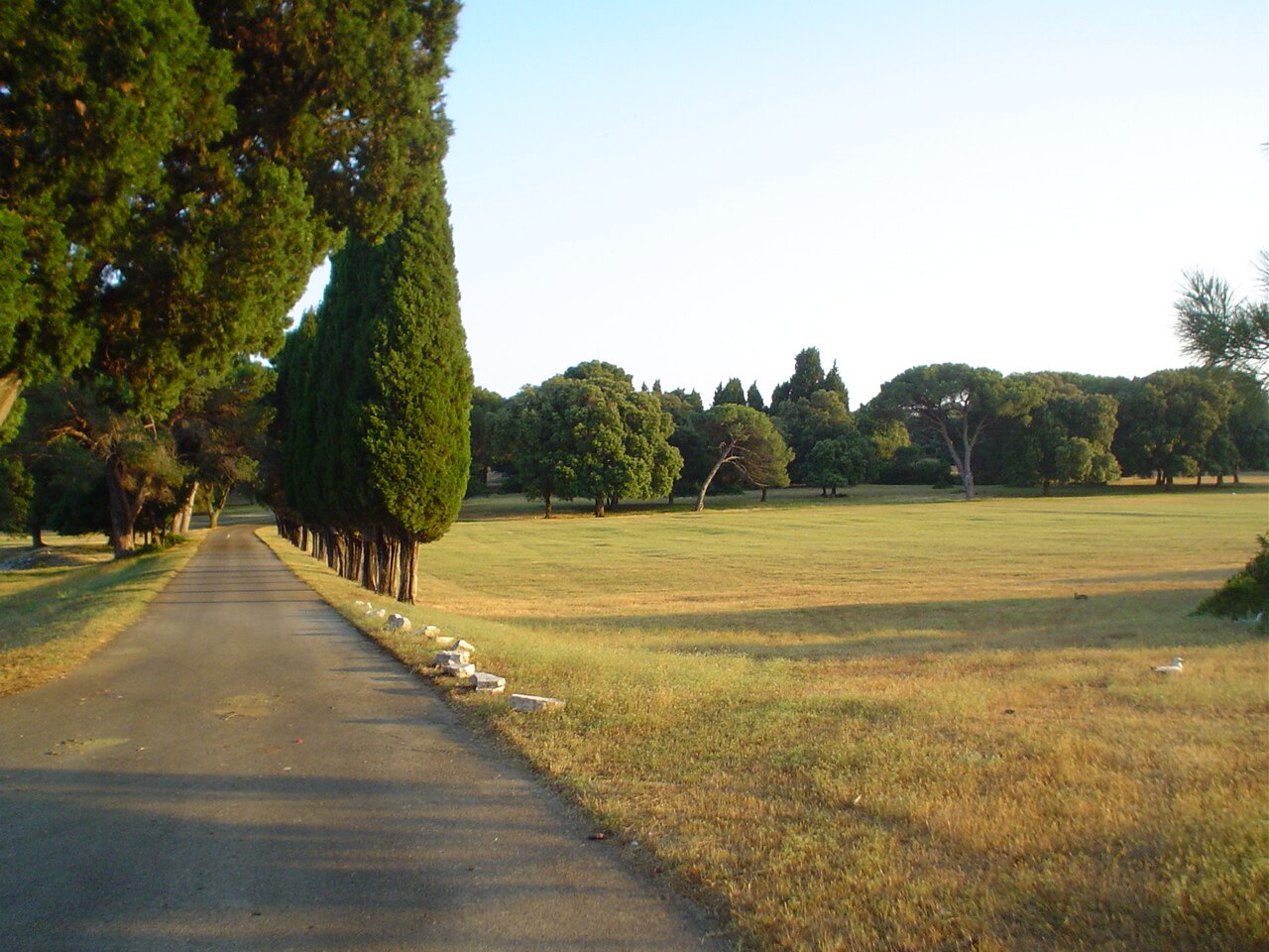 Park safari Brijuni