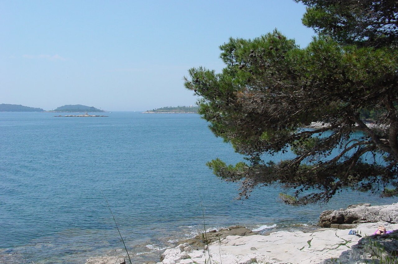 Park leśny Zlatni Rt